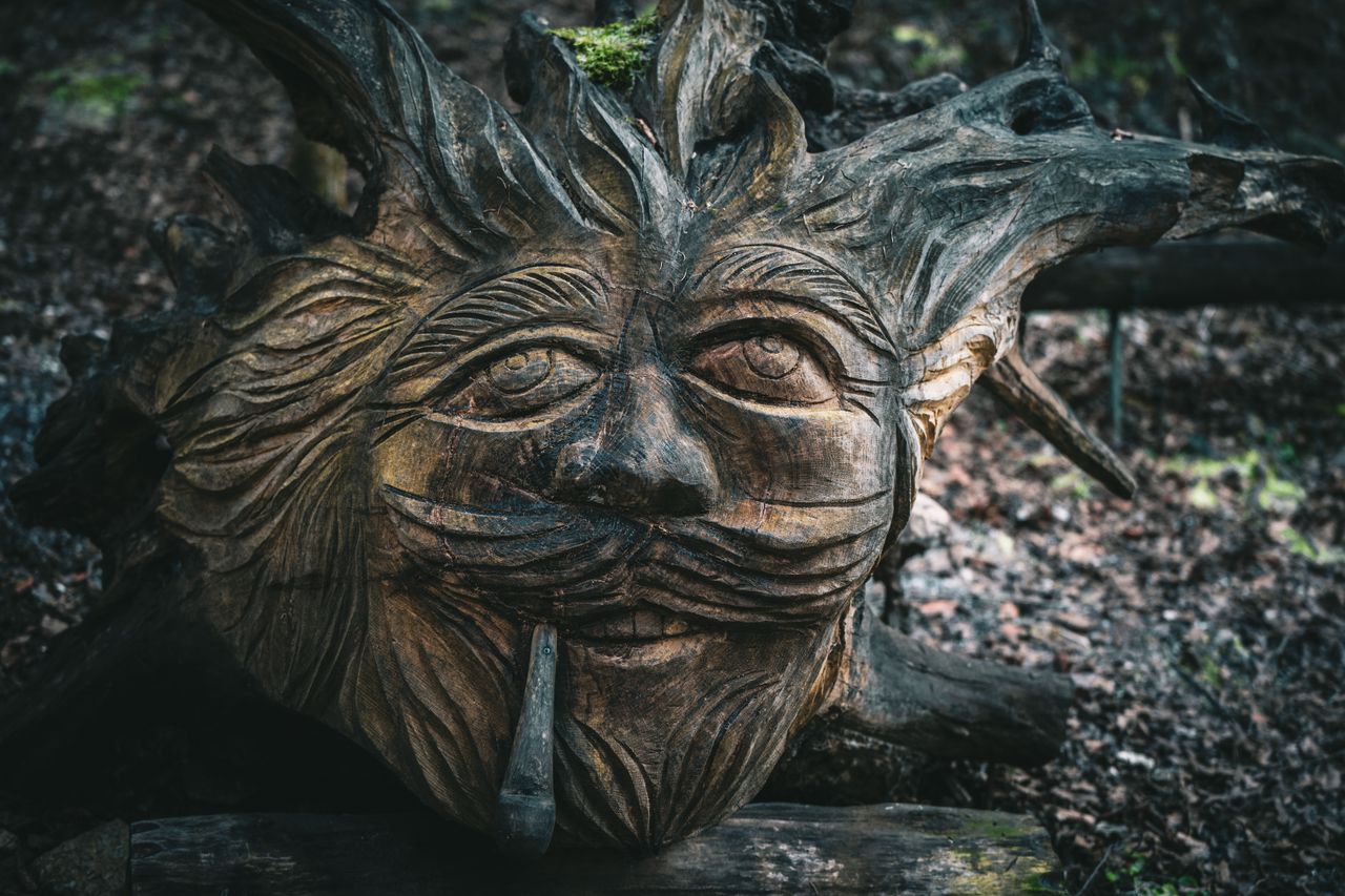 hero-img-01 Detailed wood carving resembling a face in Suhadole, Slovenia forest.
